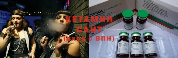 крисы Алексин
