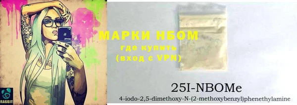 крисы Каменка