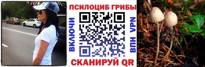 Псилоцибиновые грибы прущие грибы купить сайты Арзамас